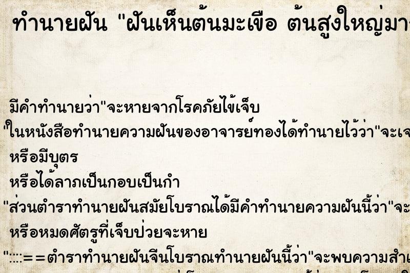 ทำนายฝัน ฝันเห็นต้นมะเขือ ต้นสูงใหญ่มาก 